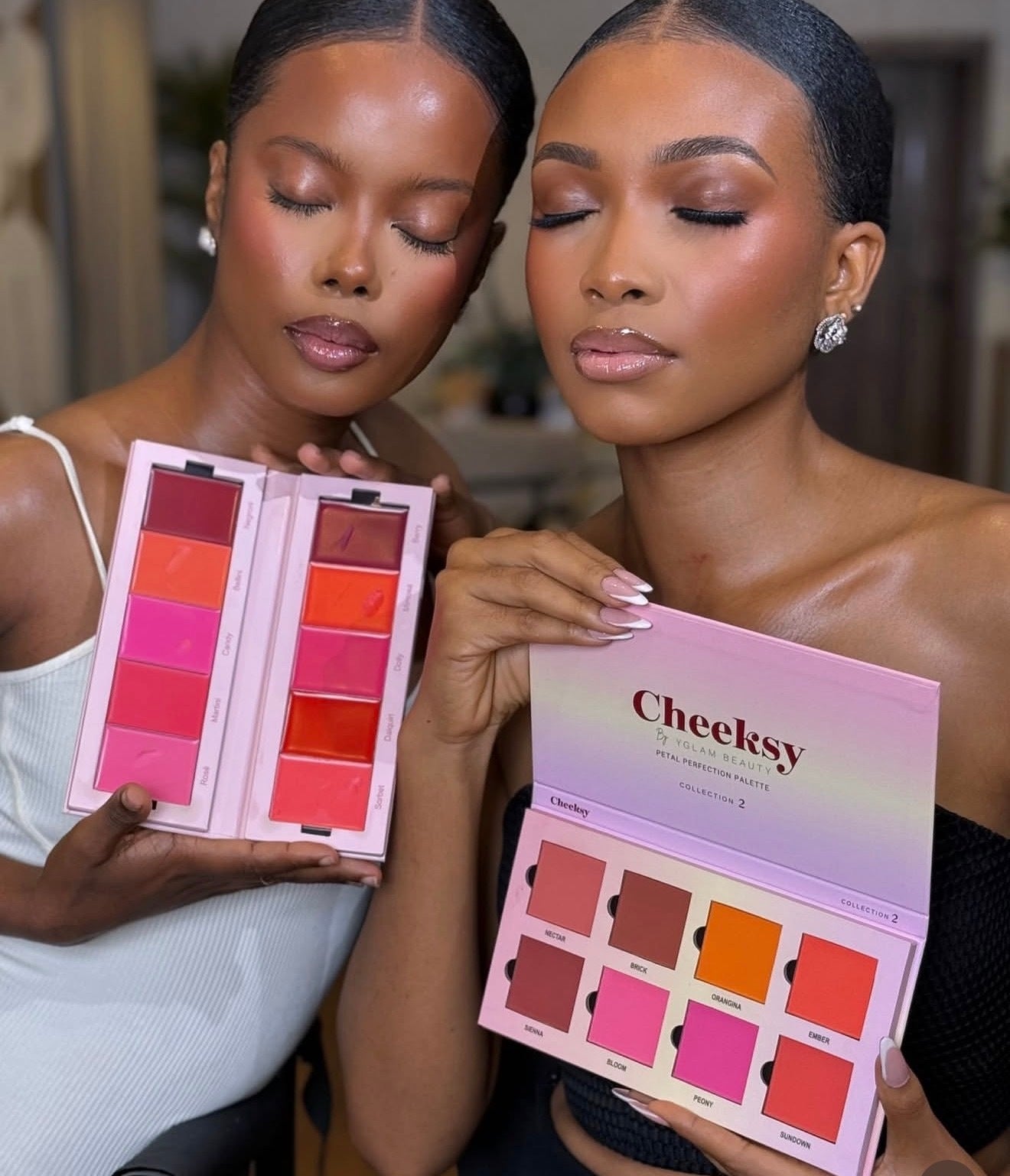 Y glam Cosmetics Blush Palette Collage